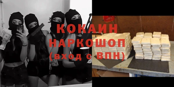 гашик Арсеньев