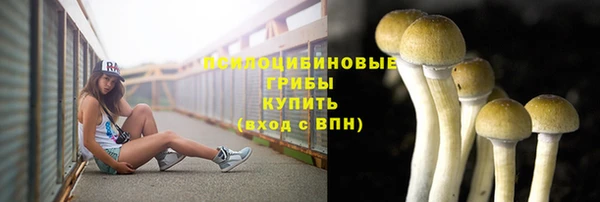 ALPHA-PVP Армянск
