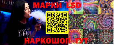mdpv Гатчина