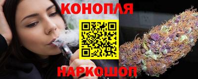 mdpv Гатчина