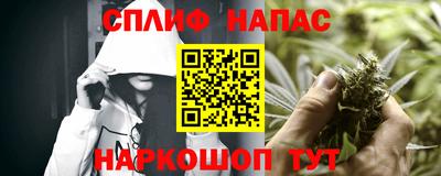 mdpv Гатчина