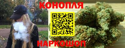 mdpv Гатчина