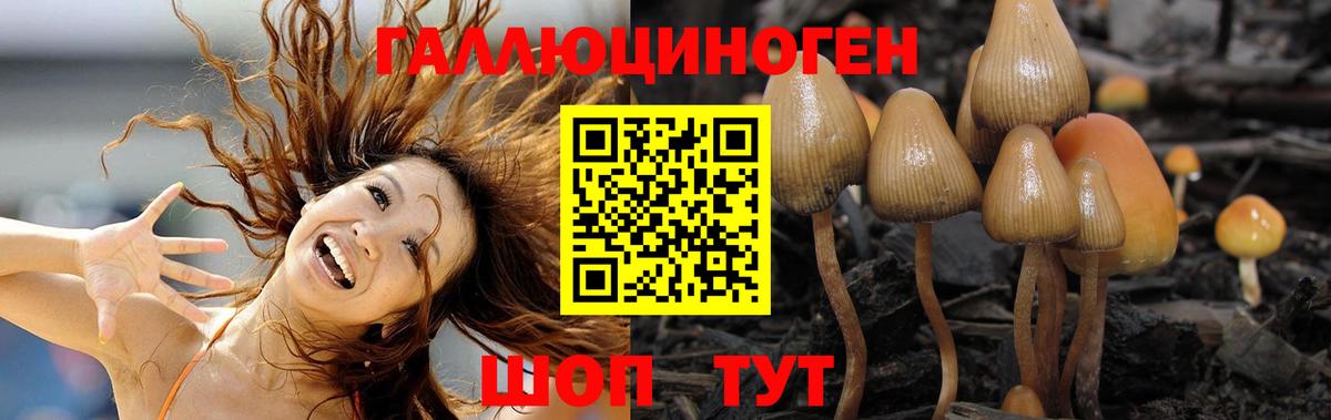 Псилоцибиновые грибы мицелий Муравленко